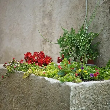 Holiday home Ca L'oliva *